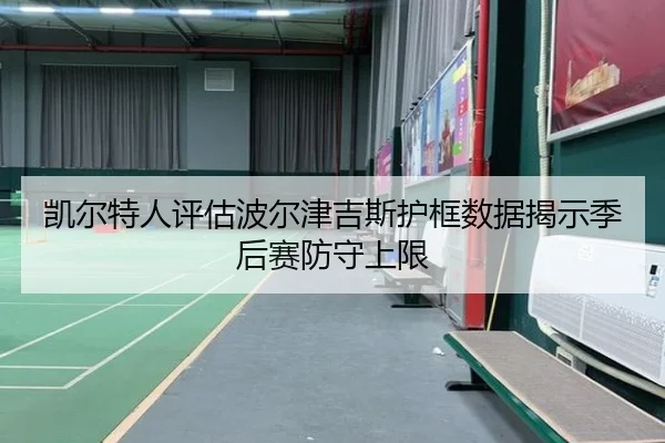 凯尔特人评估波尔津吉斯护框数据揭示季后赛防守上限
