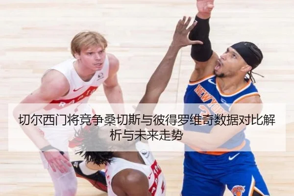 切尔西门将竞争桑切斯与彼得罗维奇数据对比解析与未来走势