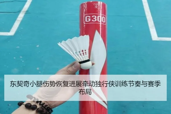 东契奇小腿伤势恢复进展牵动独行侠训练节奏与赛季布局
